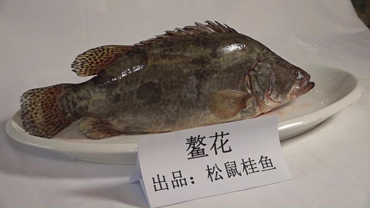 【“三花五罗”为啥珍贵?怎么做最好吃?三地游客现场品鉴,烹饪大师妙语解读】#黑龙江旅游#“